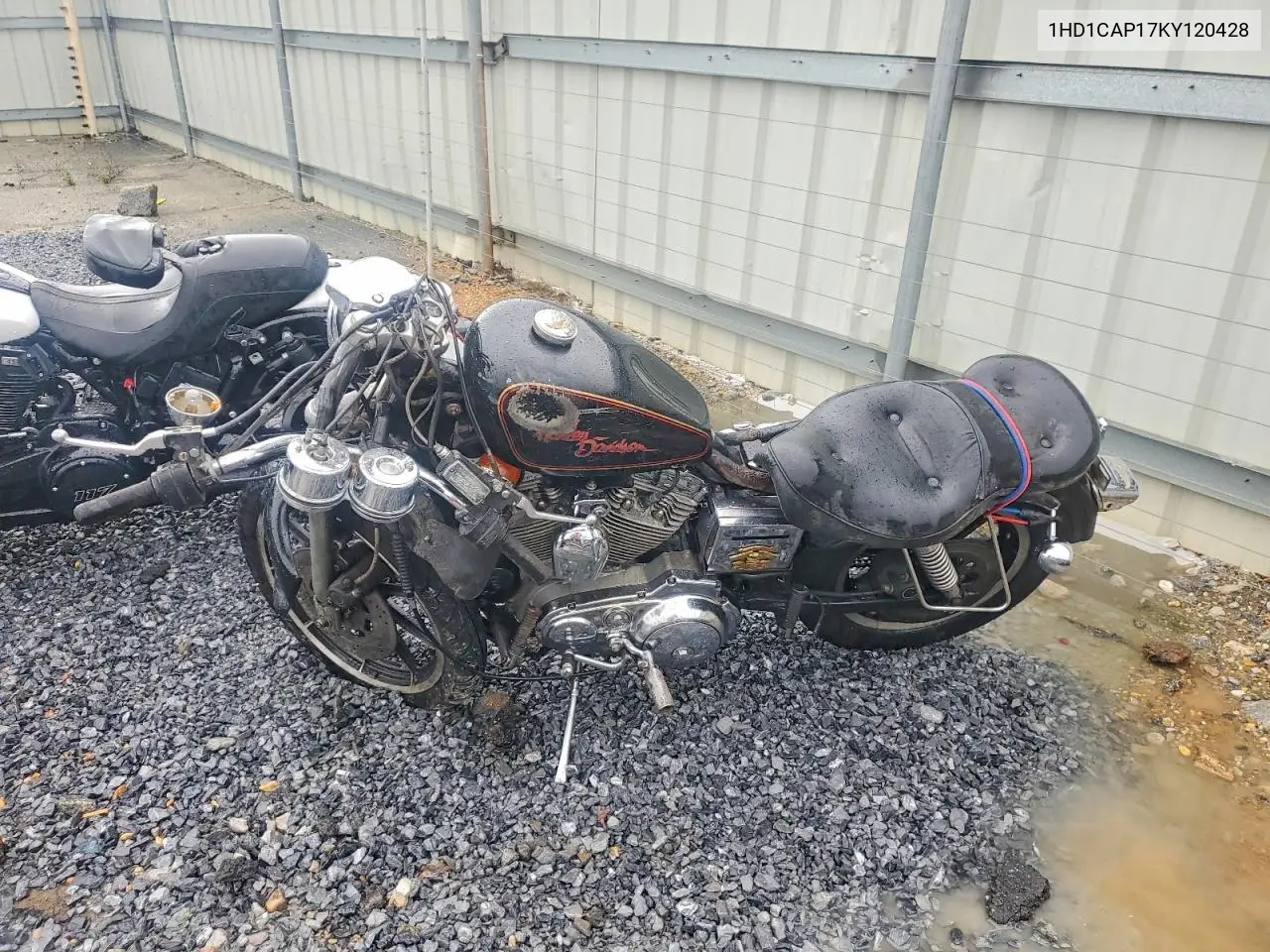 1989 Harley-Davidson Xlh1200 VIN: 1HD1CAP17KY120428 Lot: 79226565