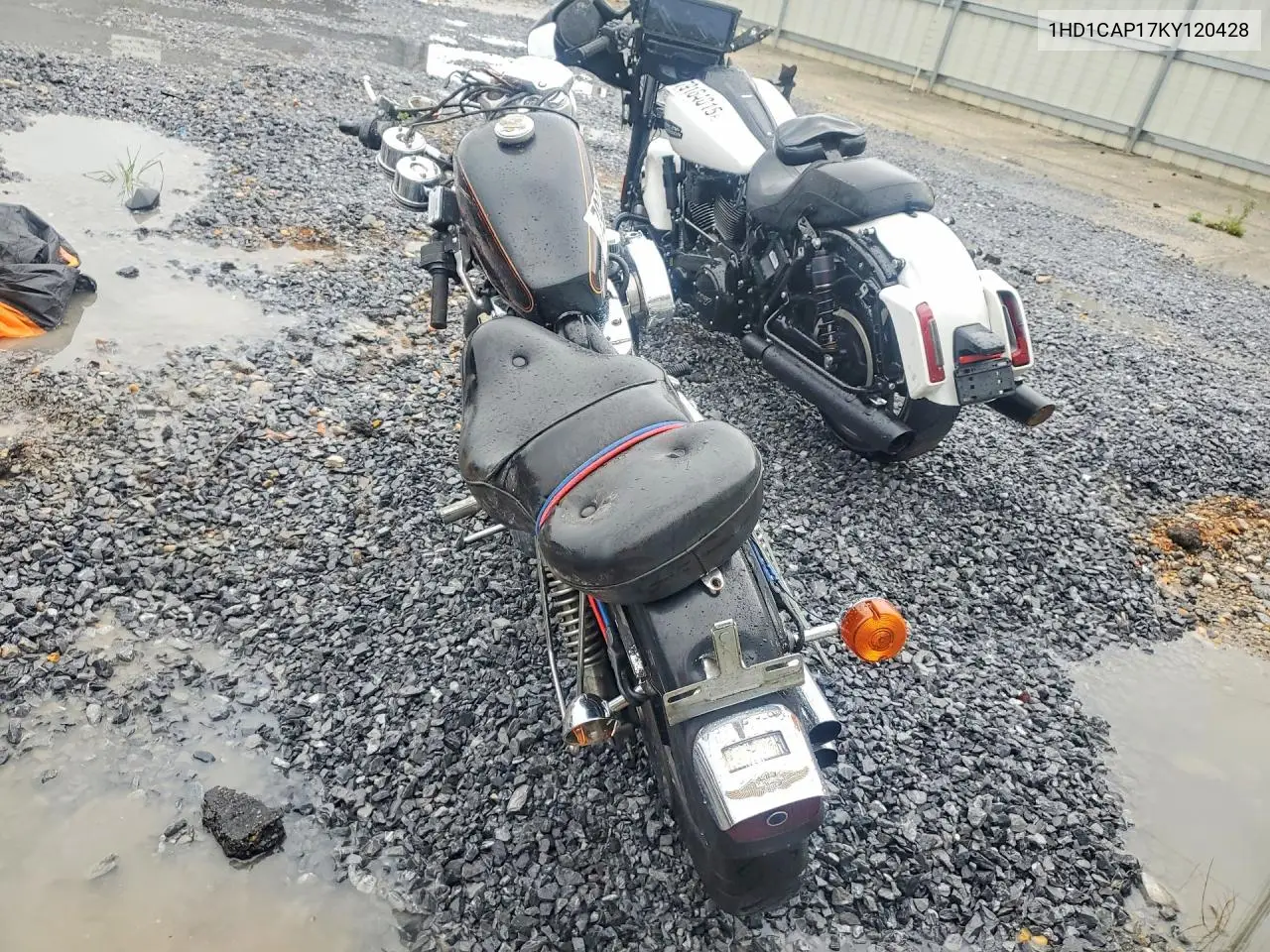 1989 Harley-Davidson Xlh1200 VIN: 1HD1CAP17KY120428 Lot: 79226565