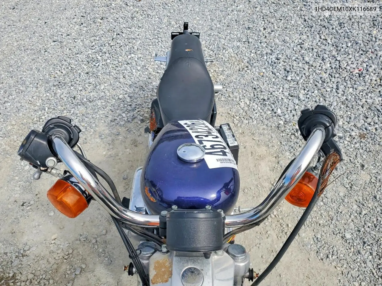 sportster