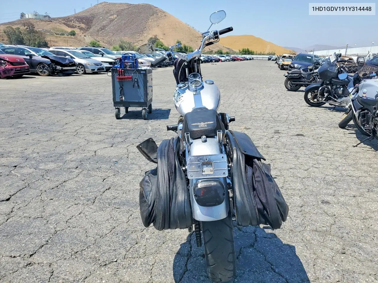 2001 Harley-Davidson Fxdl VIN: 1HD1GDV191Y314448 Lot: 53642816