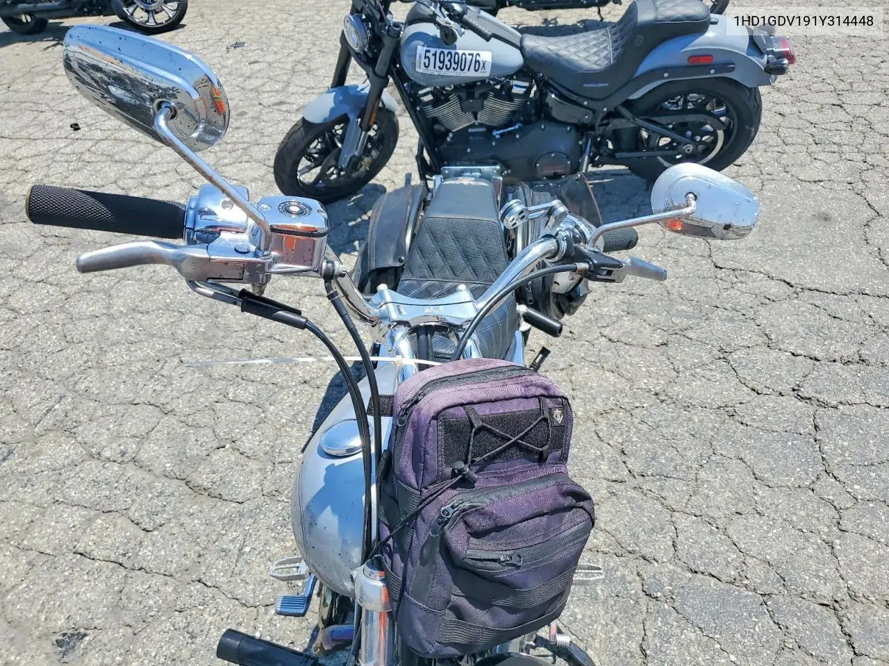2001 Harley-Davidson Fxdl VIN: 1HD1GDV191Y314448 Lot: 53642816