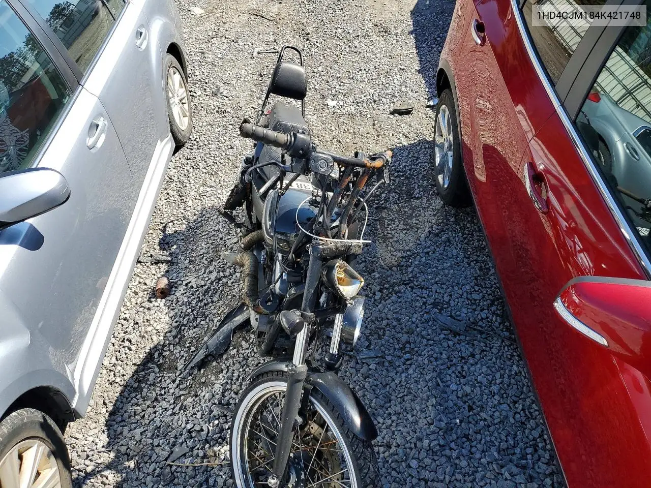 2004 Harley-Davidson Xl883 C VIN: 1HD4CJM184K421748 Lot: 47213816