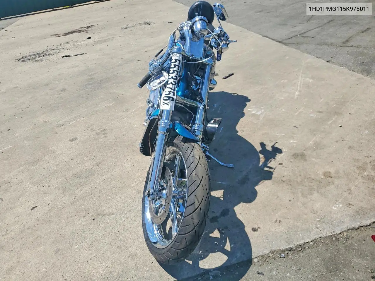 Night Rod Special