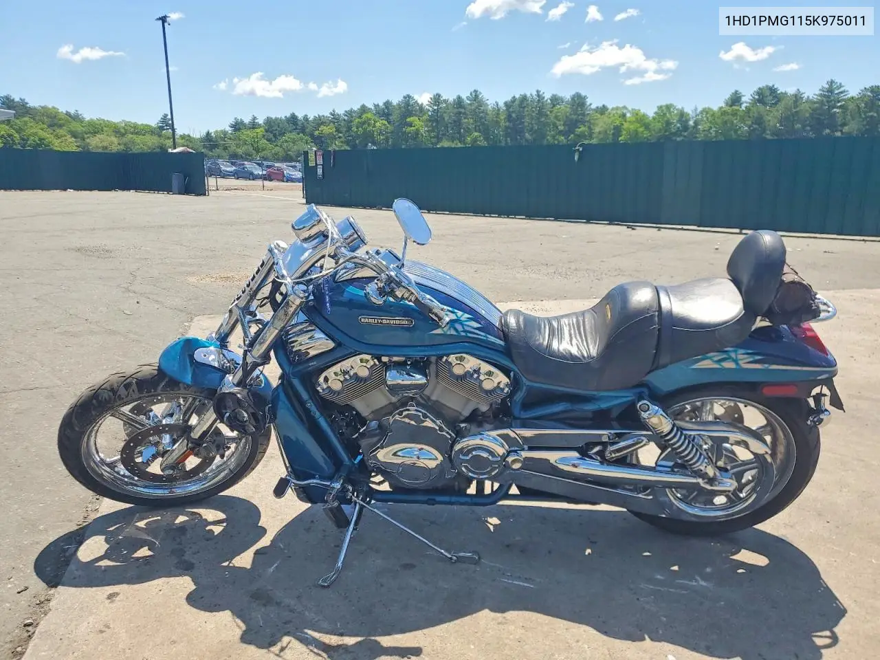 Night Rod Special