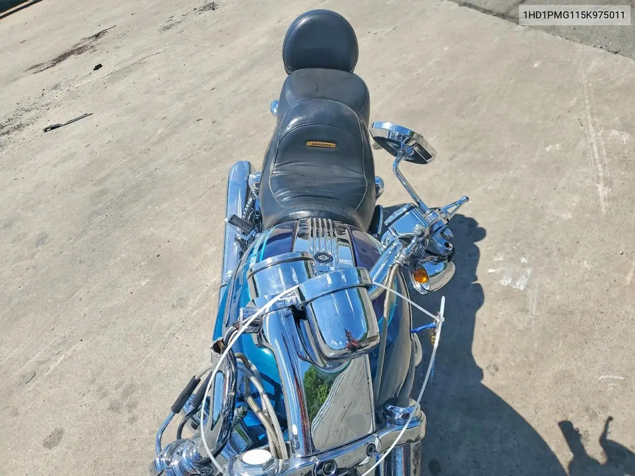 Night Rod Special