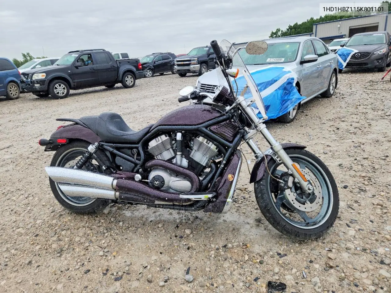 2005 Harley-Davidson Vrscb VIN: 1HD1HBZ115K801101 Lot: 57493856
