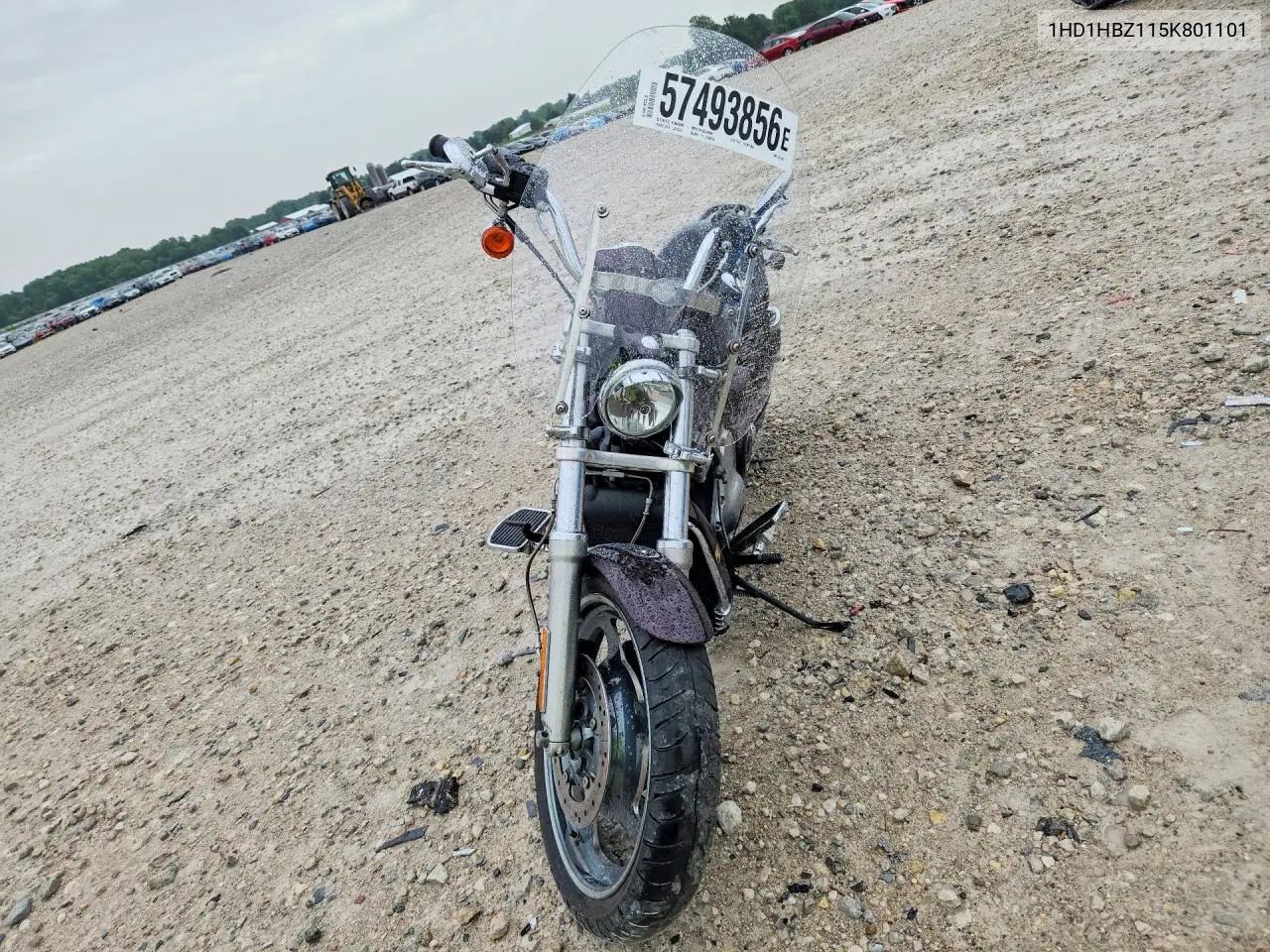 2005 Harley-Davidson Vrscb VIN: 1HD1HBZ115K801101 Lot: 57493856