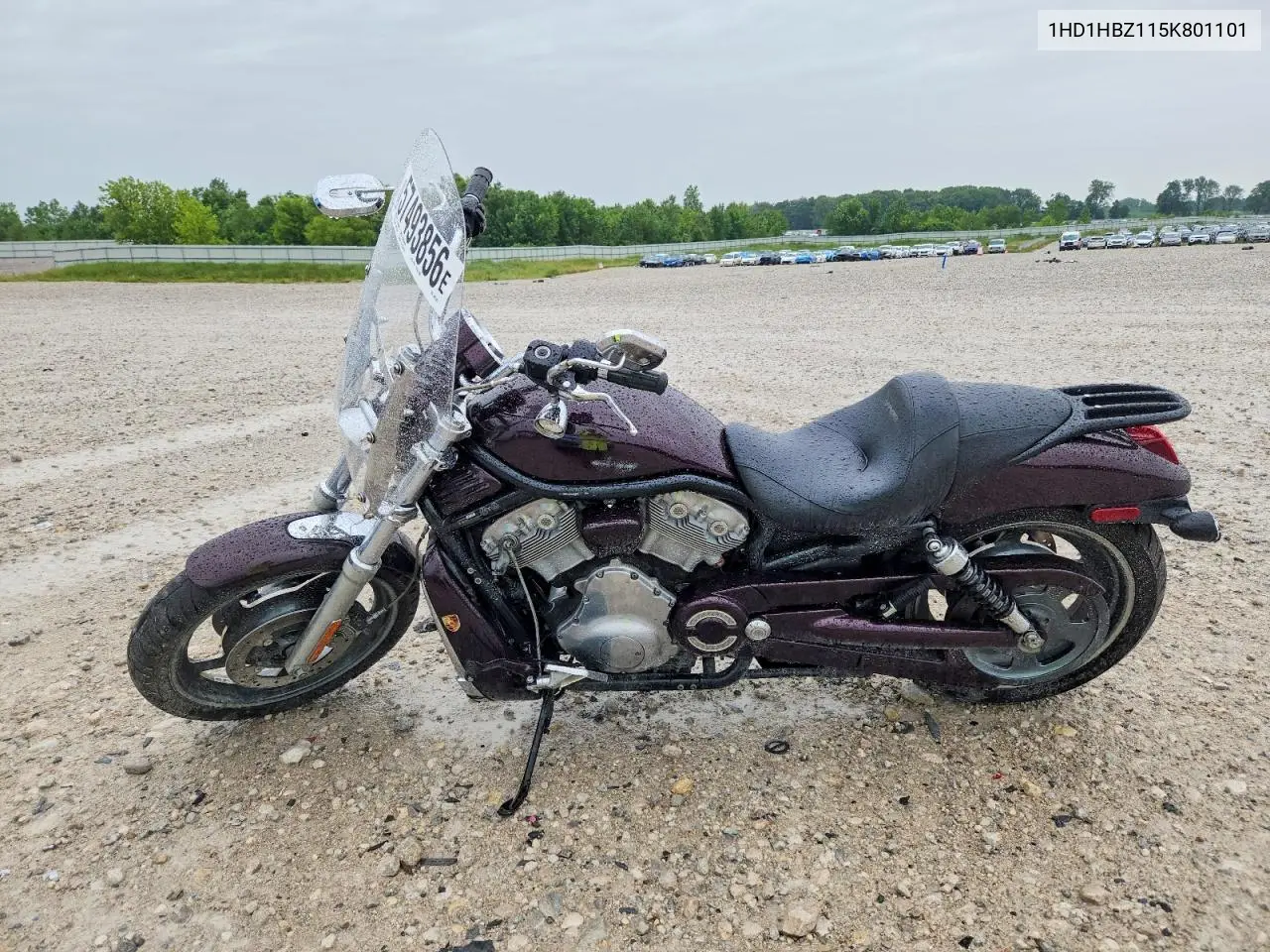 2005 Harley-Davidson Vrscb VIN: 1HD1HBZ115K801101 Lot: 57493856
