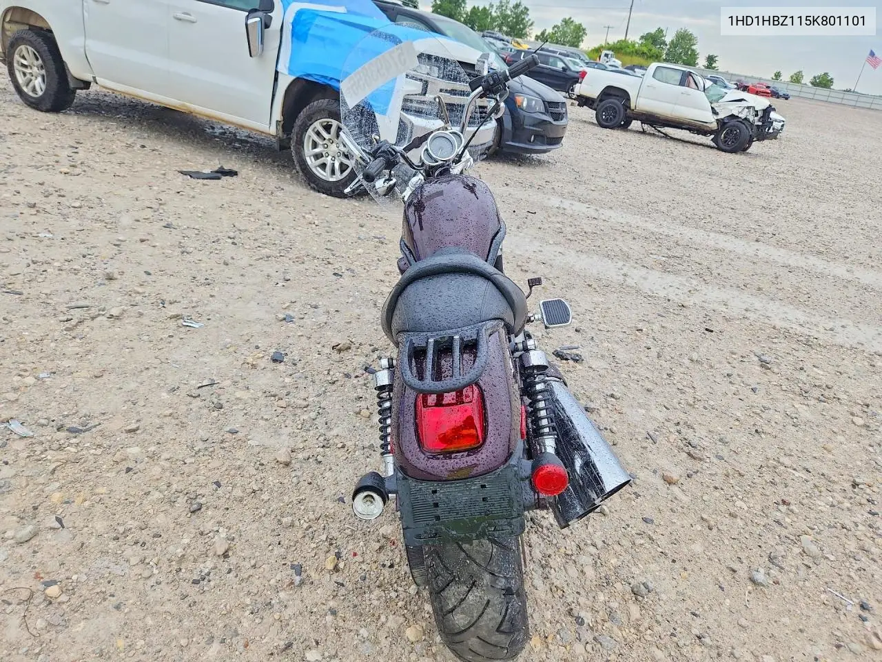 2005 Harley-Davidson Vrscb VIN: 1HD1HBZ115K801101 Lot: 57493856