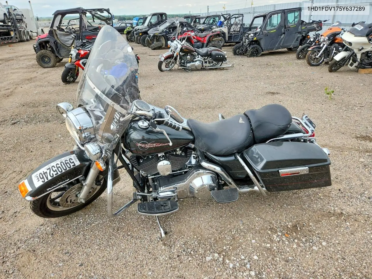 2005 Harley-Davidson Flhr VIN: 1HD1FDV175Y637289 Lot: 59095246