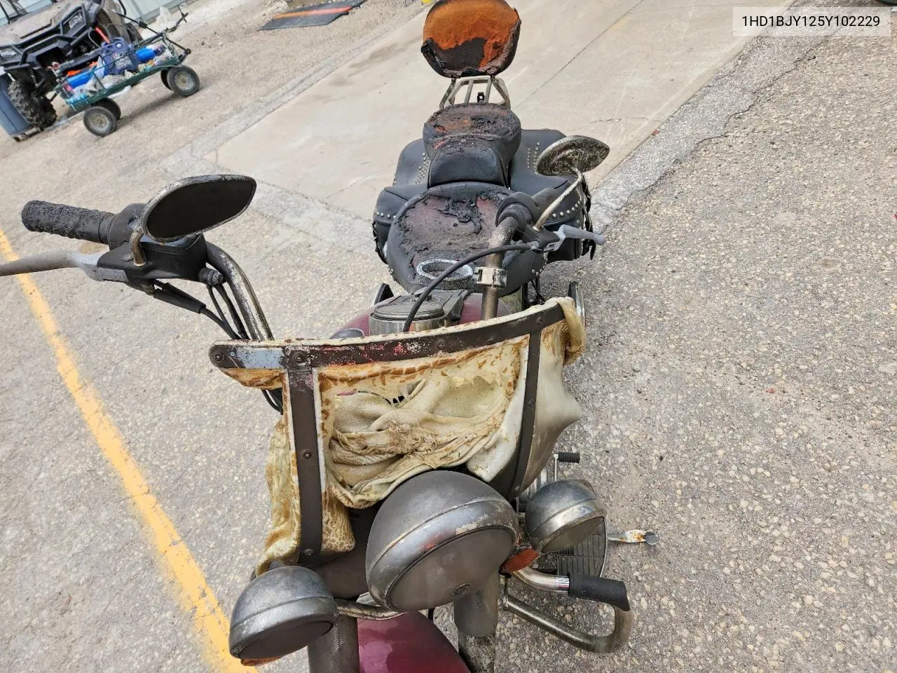 2005 Harley-Davidson Flstc VIN: 1HD1BJY125Y102229 Lot: 59334426