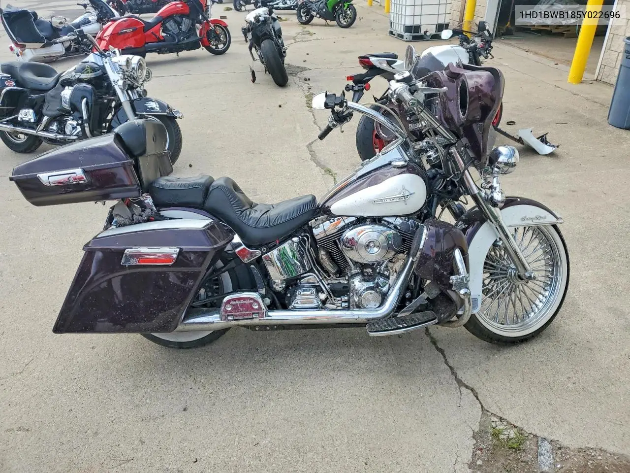 2005 Harley-Davidson Flstci VIN: 1HD1BWB185Y022696 Lot: 60214806