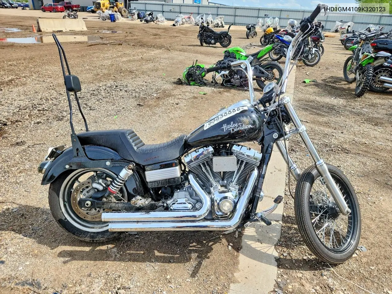 2009 Harley-Davidson Fxd VIN: 1HD1GM4109K320123 Lot: 53830006