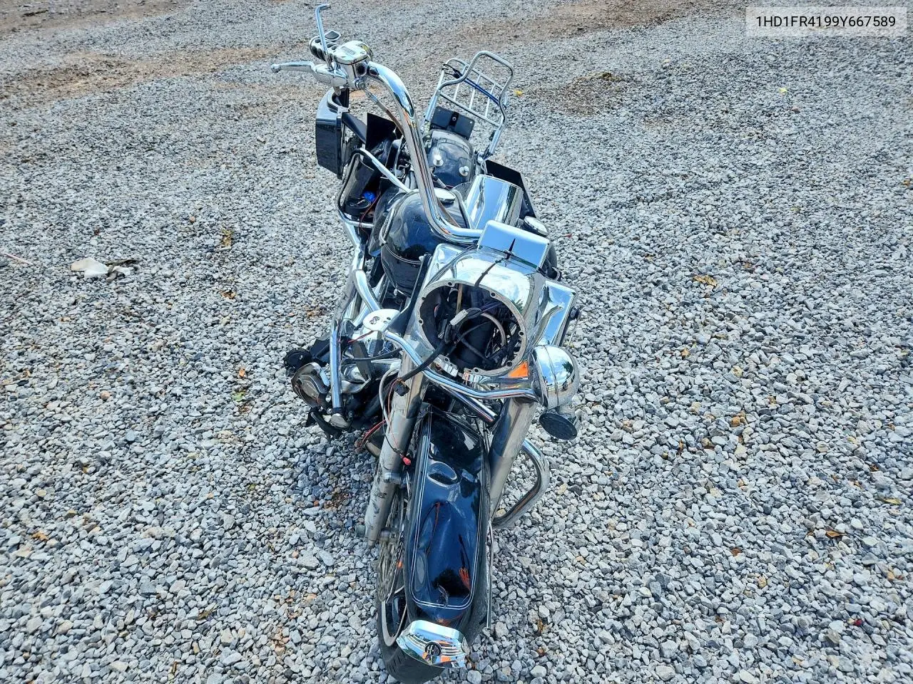 2009 Harley-Davidson Flhrc VIN: 1HD1FR4199Y667589 Lot: 58138796