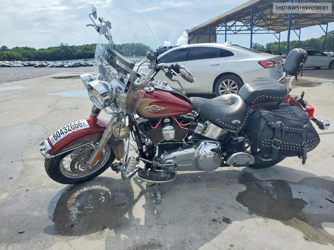 2009 Harley-Davidson Flstc VIN: 1HD1BW5169Y058081 Lot: 60432666