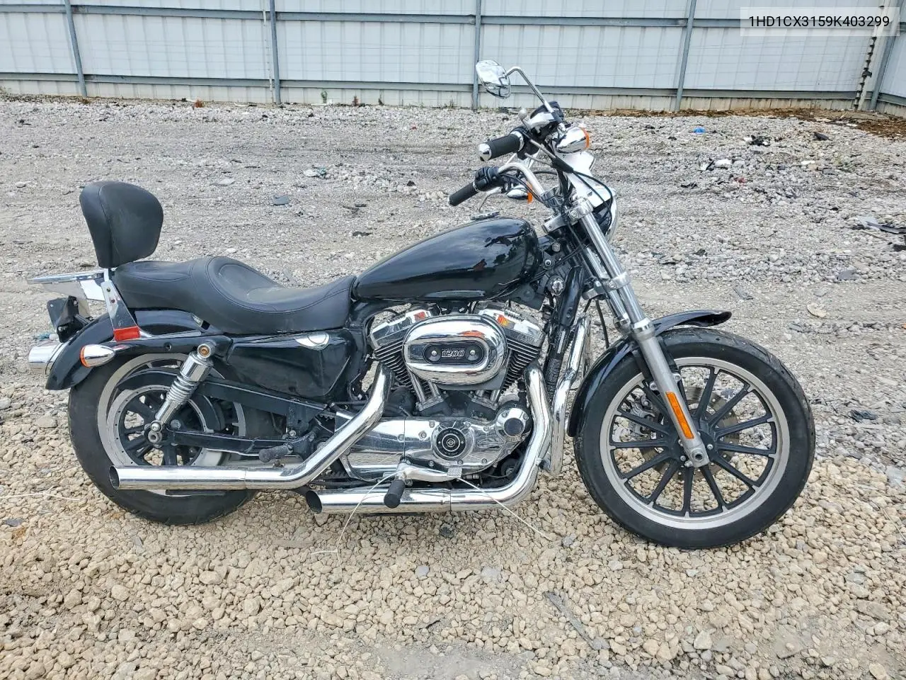 2009 Harley-Davidson Xl1200 L VIN: 1HD1CX3159K403299 Lot: 61862996