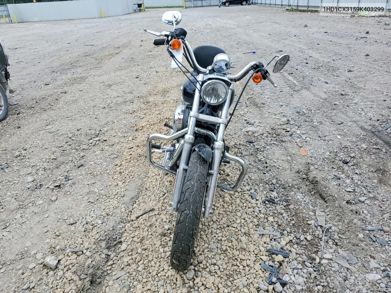 2009 Harley-Davidson Xl1200 L VIN: 1HD1CX3159K403299 Lot: 61862996