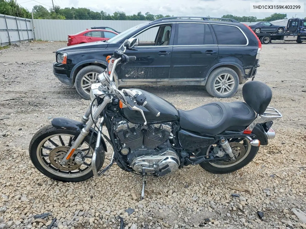 2009 Harley-Davidson Xl1200 L VIN: 1HD1CX3159K403299 Lot: 61862996