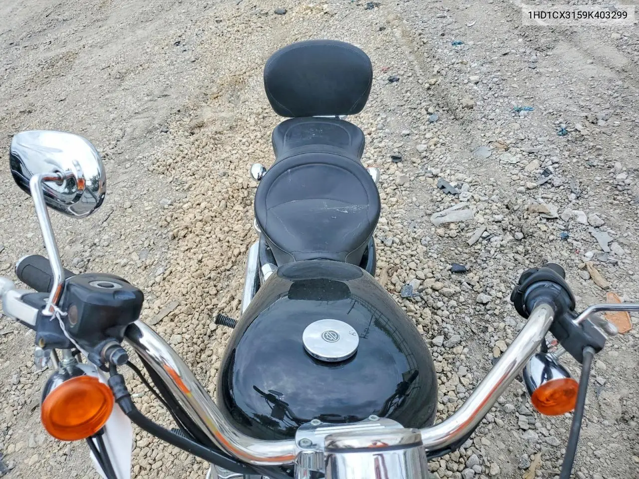 2009 Harley-Davidson Xl1200 L VIN: 1HD1CX3159K403299 Lot: 61862996