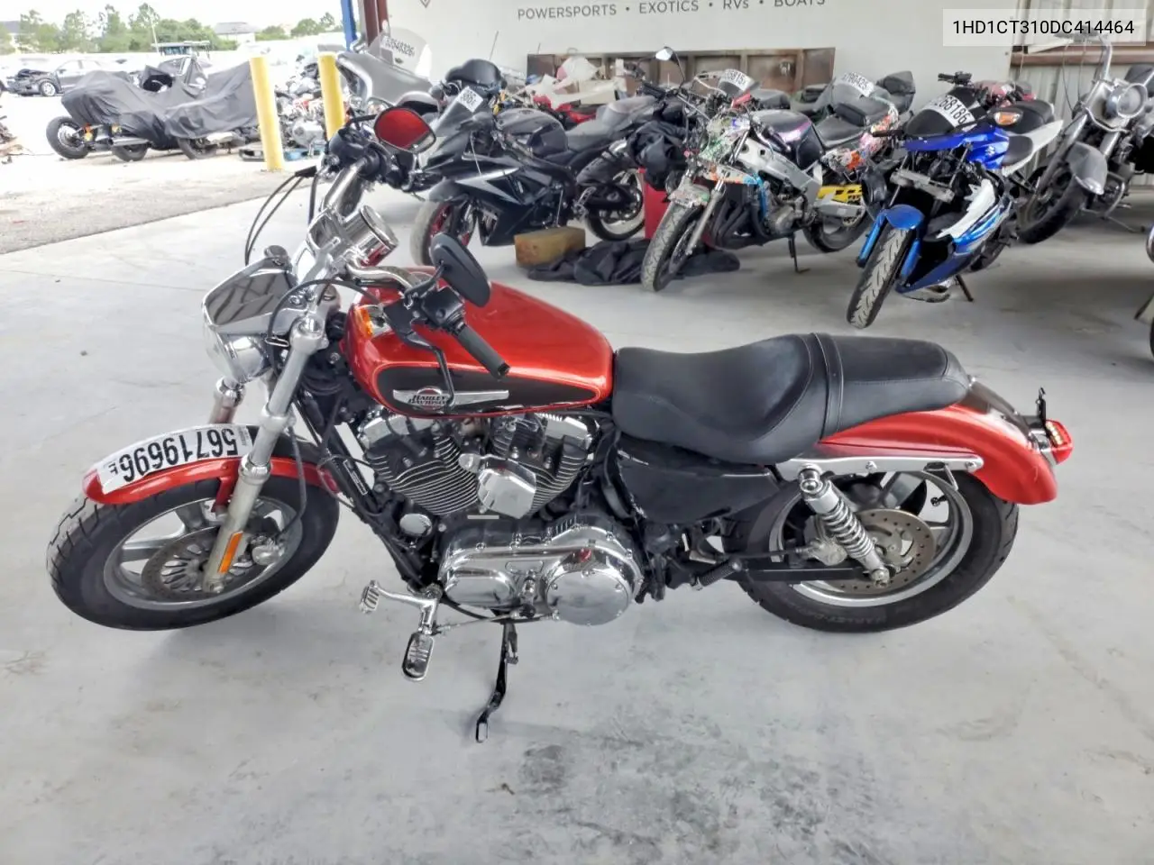 sportster