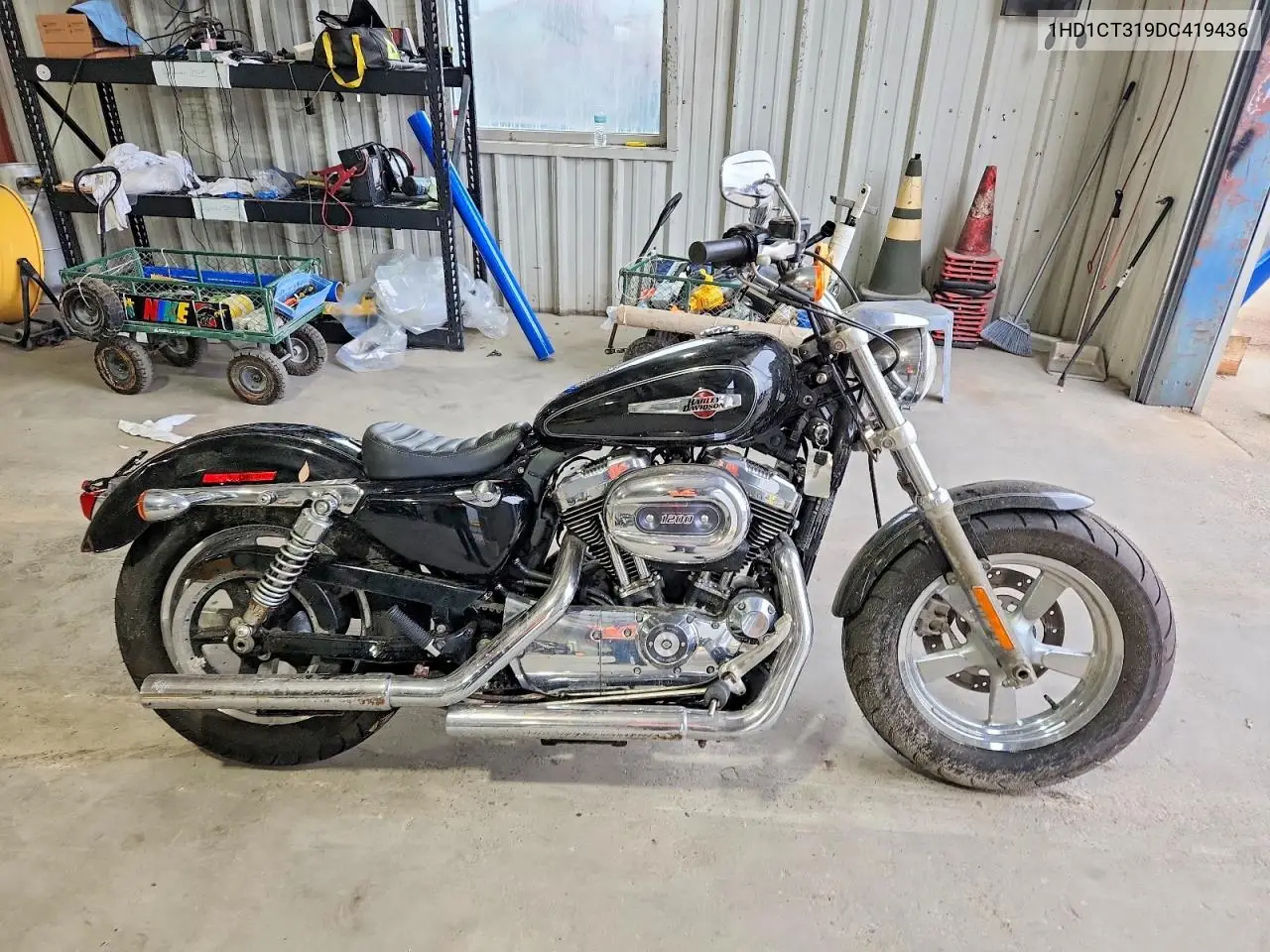 2013 Harley-Davidson Xl1200 C VIN: 1HD1CT319DC419436 Lot: 57303376