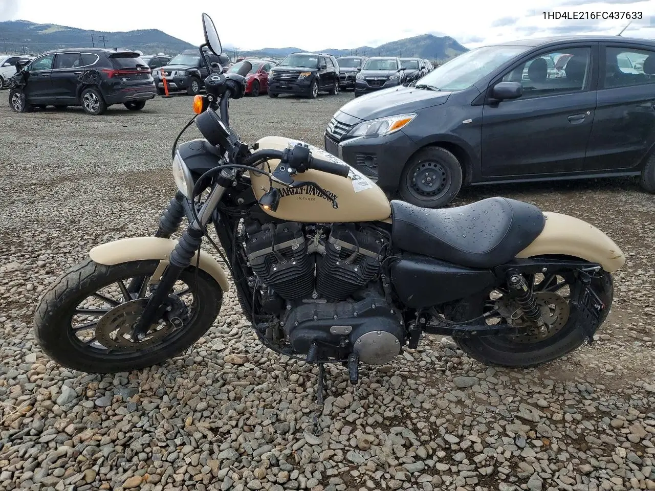 2015 Harley-Davidson Xl883 Iron 883 VIN: 1HD4LE216FC437633 Lot: 54458756