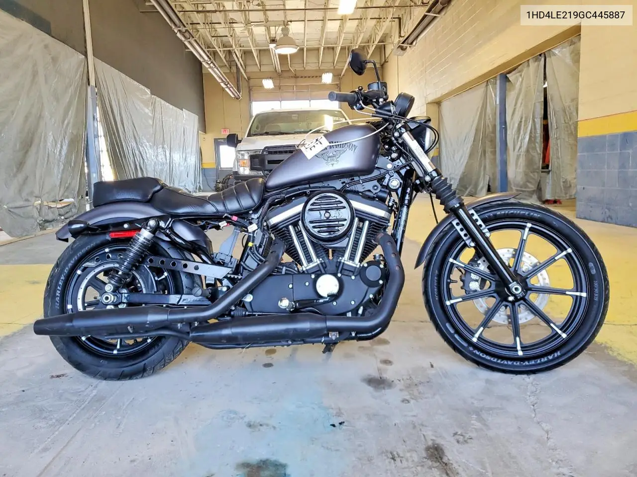 2016 Harley-Davidson Xl883 Iron 883 VIN: 1HD4LE219GC445887 Lot: 55597986