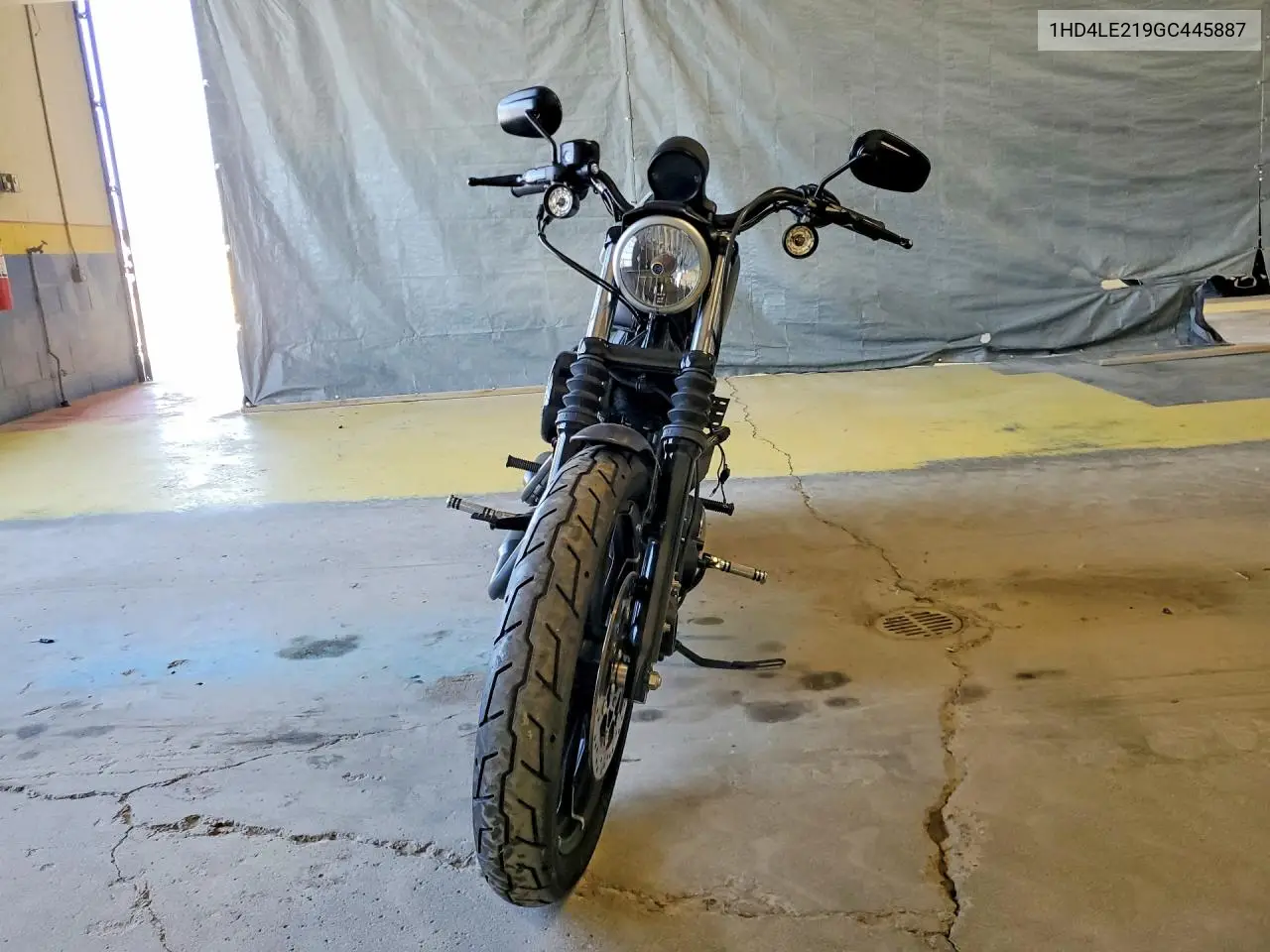 2016 Harley-Davidson Xl883 Iron 883 VIN: 1HD4LE219GC445887 Lot: 55597986