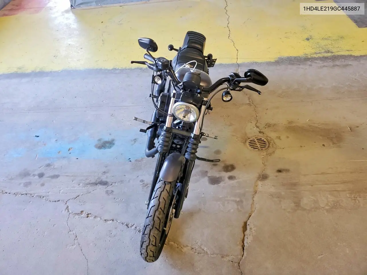 2016 Harley-Davidson Xl883 Iron 883 VIN: 1HD4LE219GC445887 Lot: 55597986
