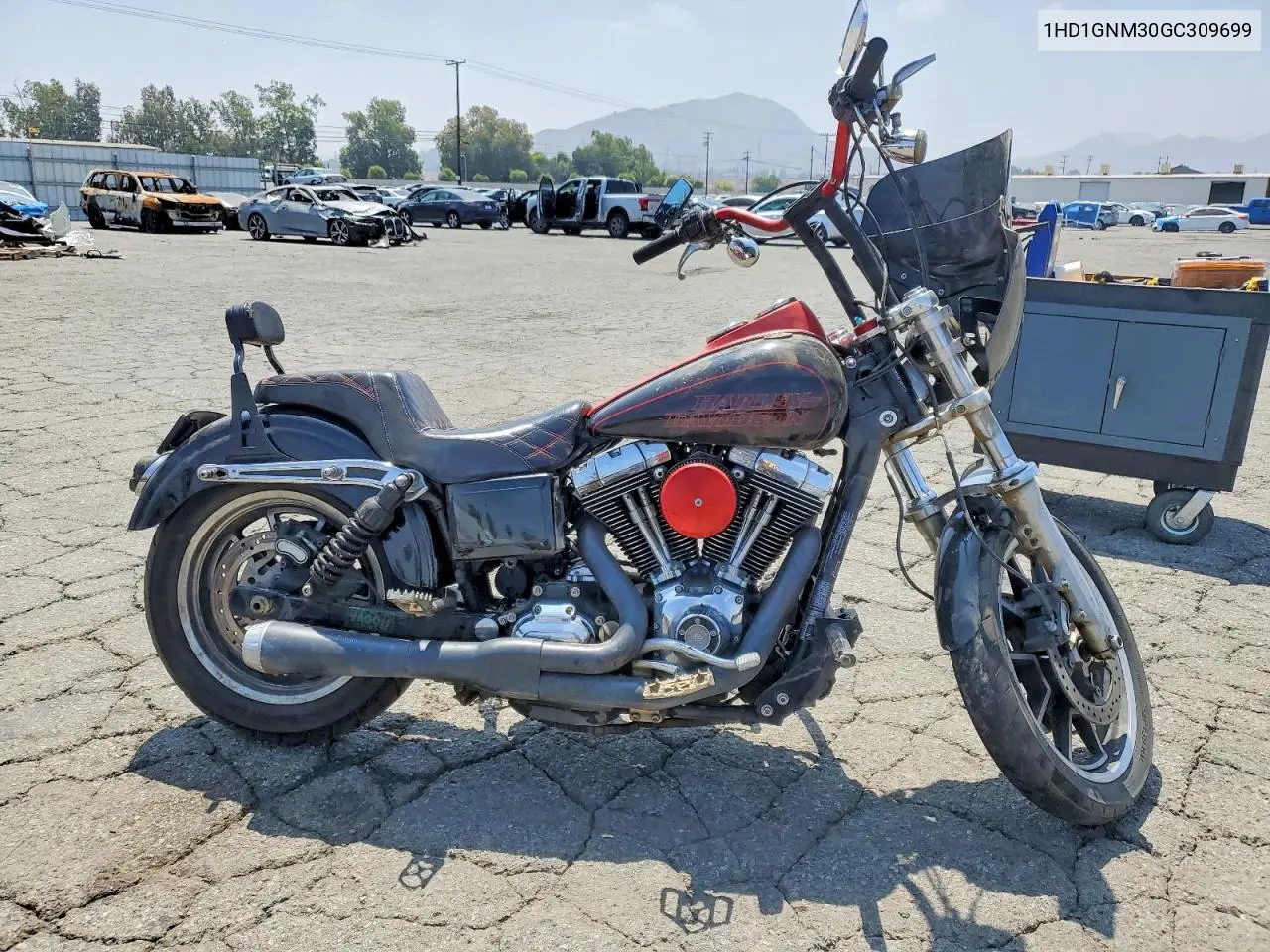 2016 Harley-Davidson Fxdl Dyna Low Rider VIN: 1HD1GNM30GC309699 Lot: 59801836