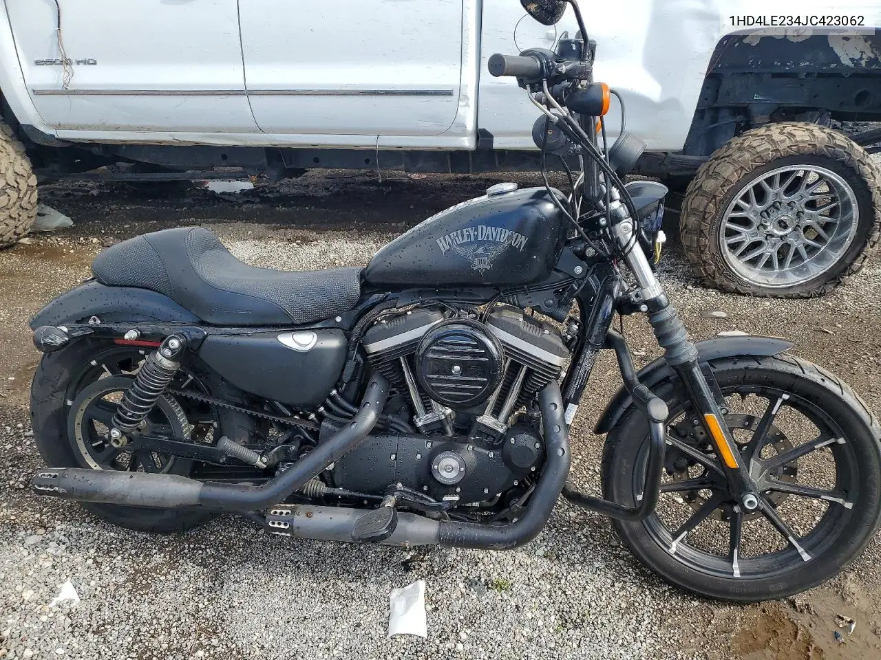 2018 Harley-Davidson Xl883 Iron 883 VIN: 1HD4LE234JC423062 Lot: 51963786