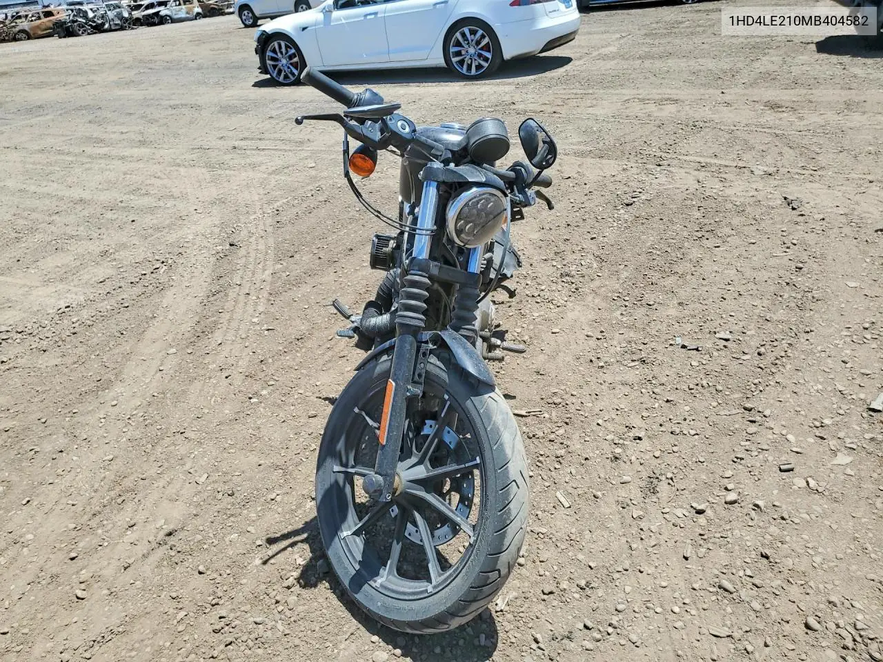 2021 Harley-Davidson Xl883 N VIN: 1HD4LE210MB404582 Lot: 55815796