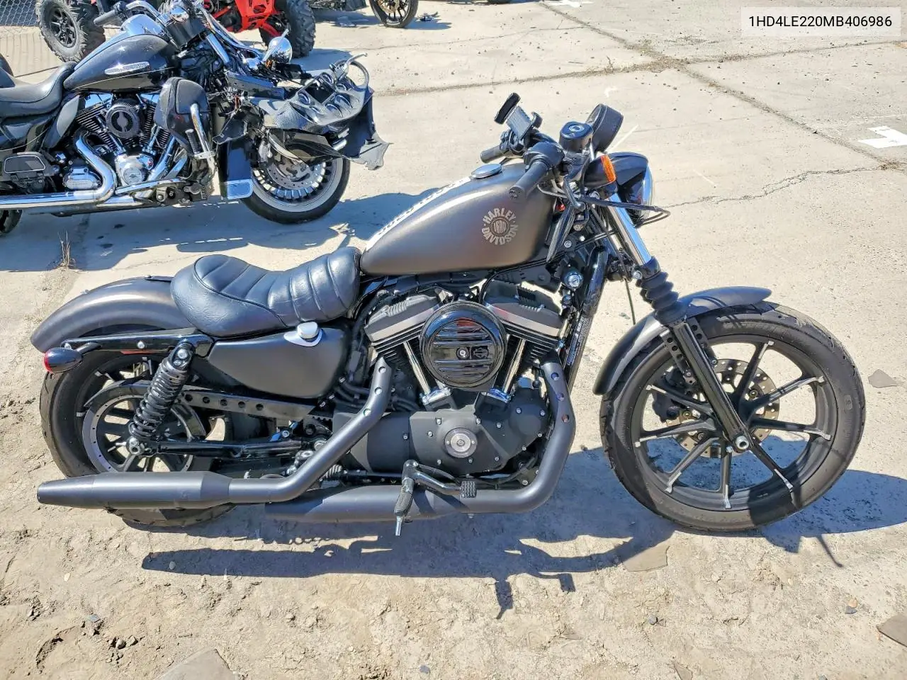 2021 Harley-Davidson Xl883 N VIN: 1HD4LE220MB406986 Lot: 58254806