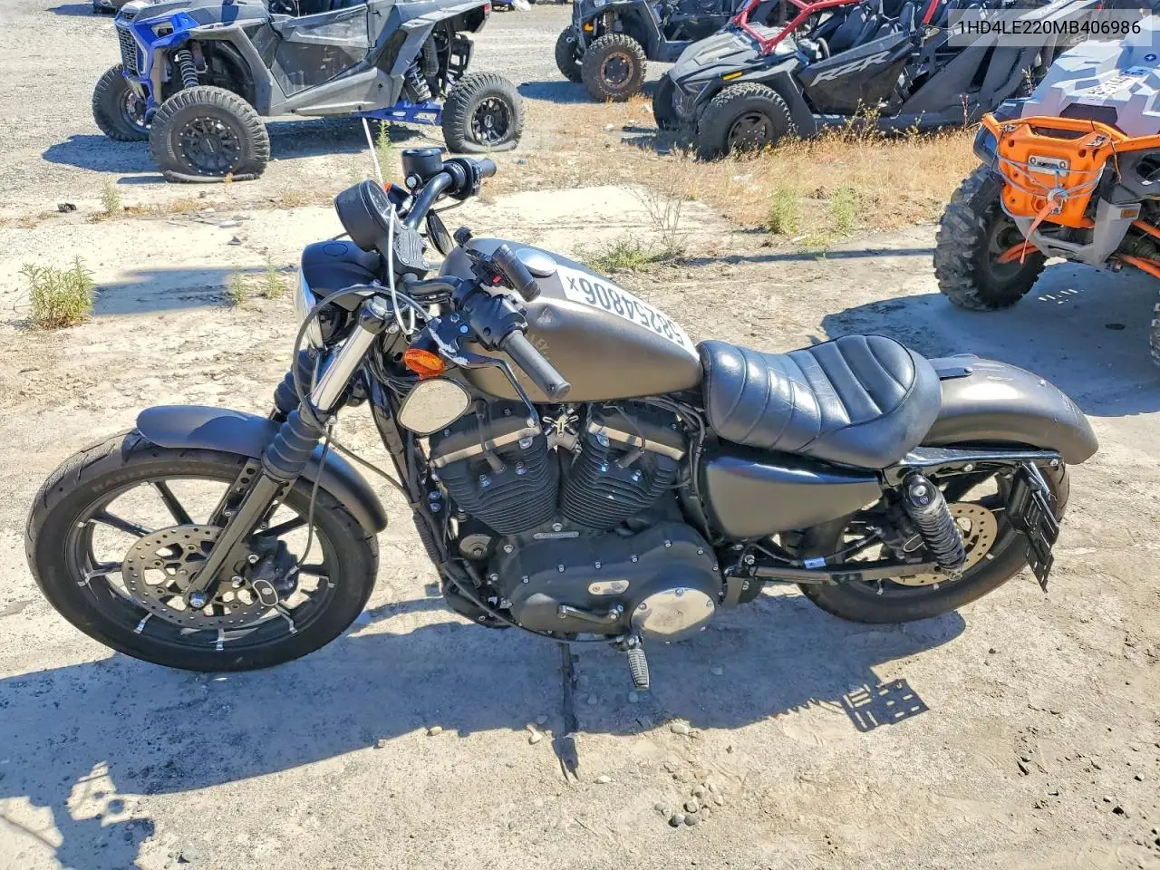 2021 Harley-Davidson Xl883 N VIN: 1HD4LE220MB406986 Lot: 58254806