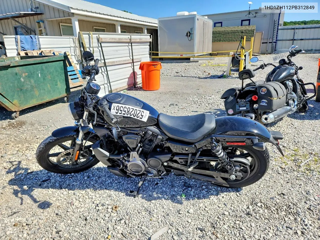 Nightster