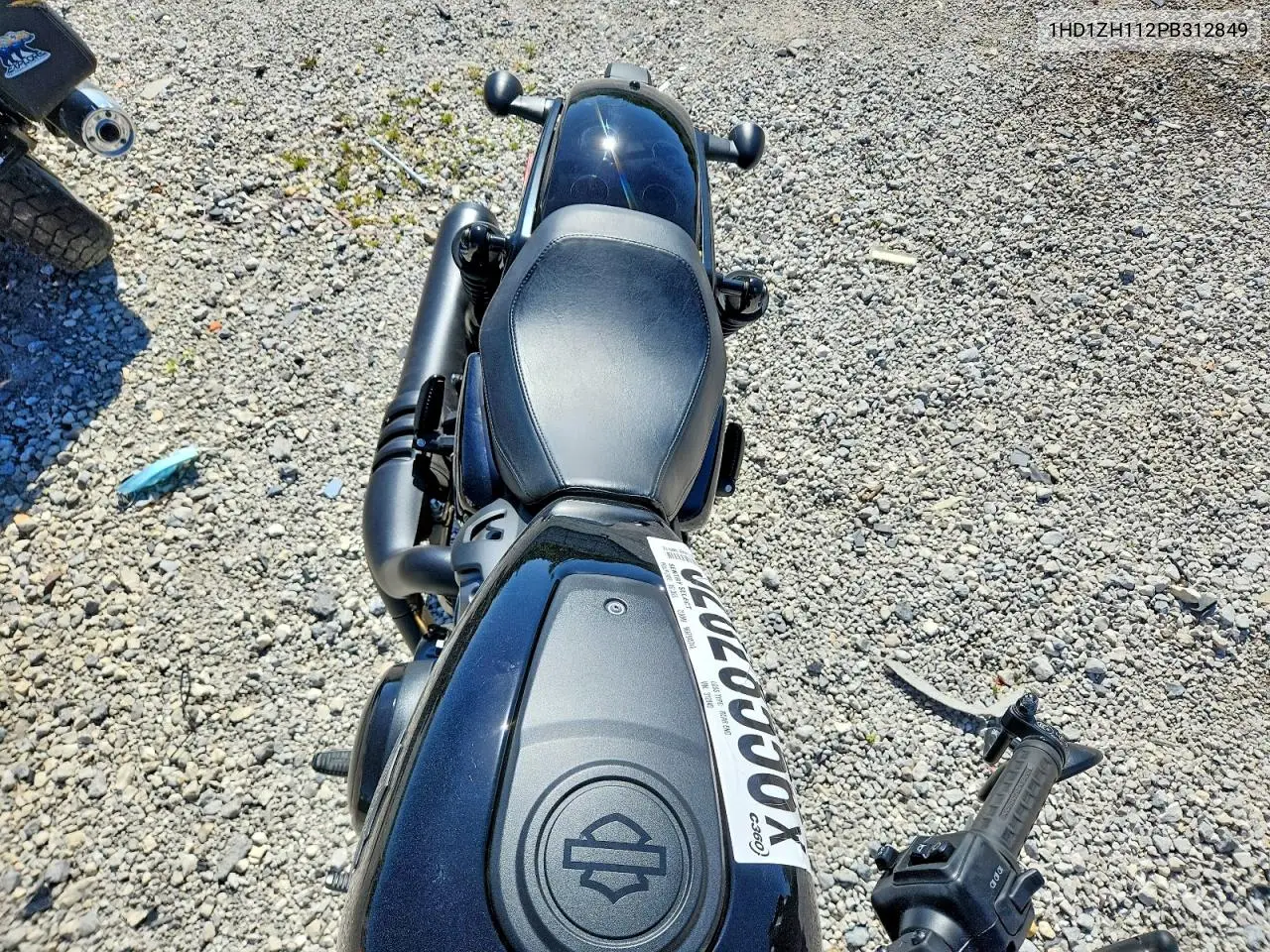 Nightster