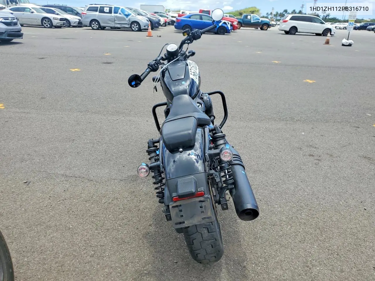 Nightster