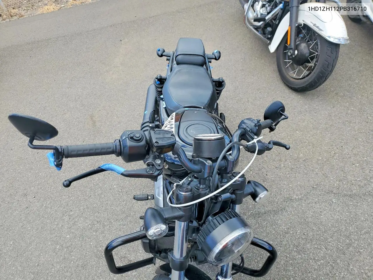 Nightster