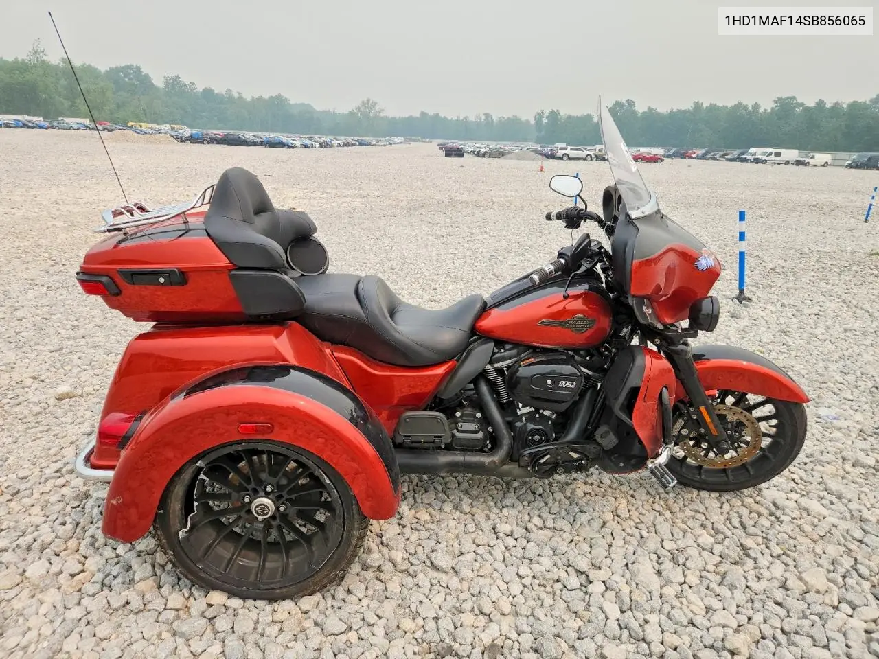 2025 Harley-Davidson Flhtcutg VIN: 1HD1MAF14SB856065 Lot: 61307236