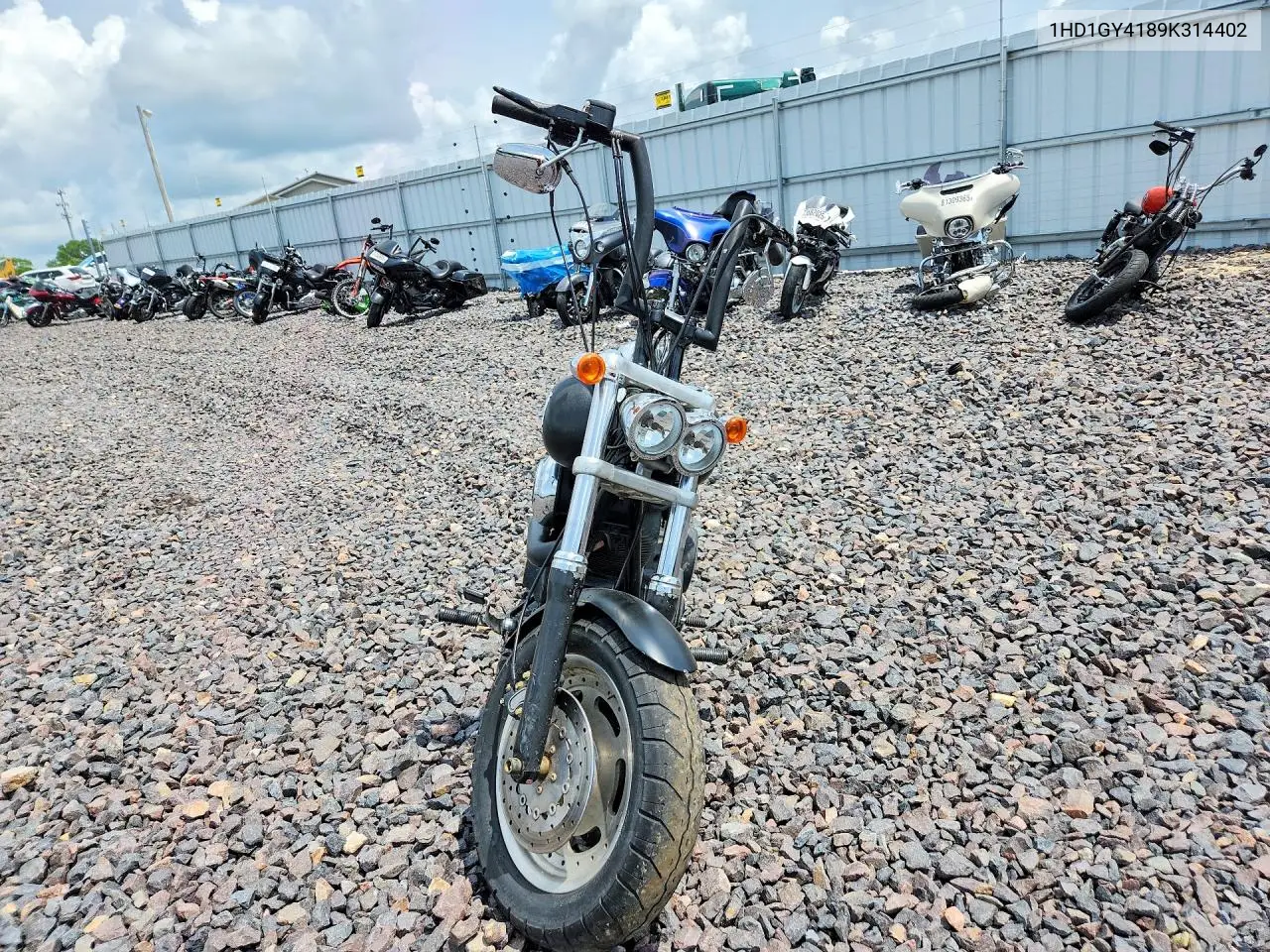 2009 Harley-Davidson Fxdf VIN: 1HD1GY4189K314402 Lot: 58641086