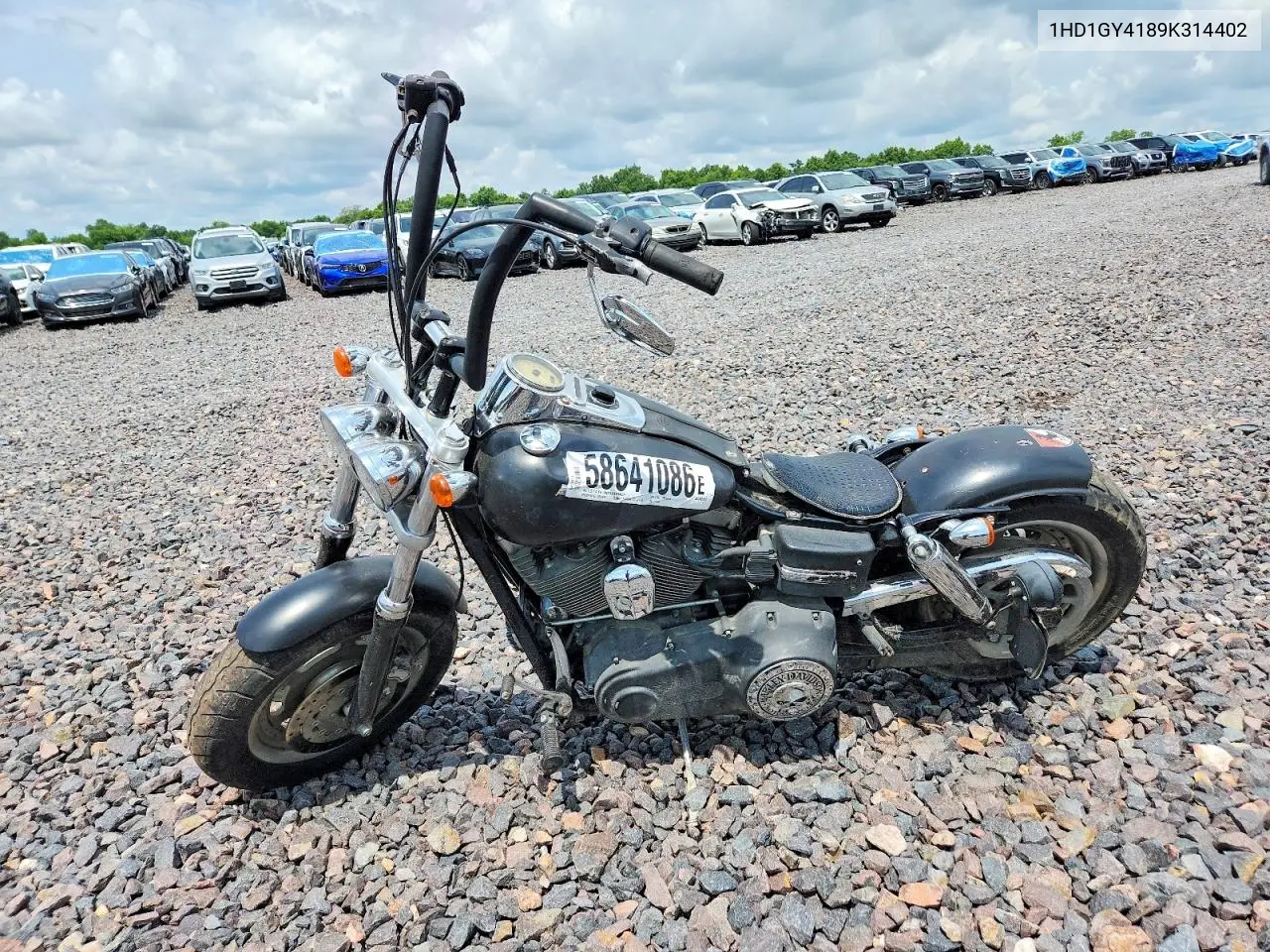 2009 Harley-Davidson Fxdf VIN: 1HD1GY4189K314402 Lot: 58641086