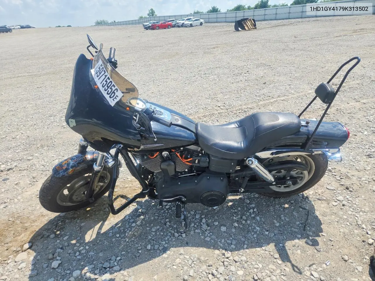 2009 Harley-Davidson Fxdf VIN: 1HD1GY4179K313502 Lot: 59715956