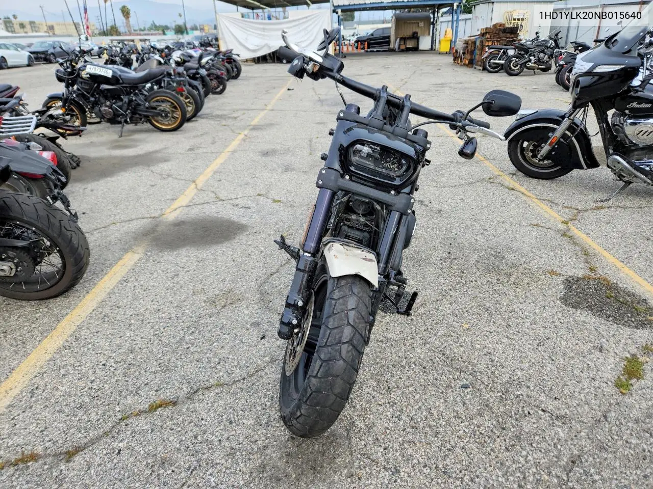 fat bob