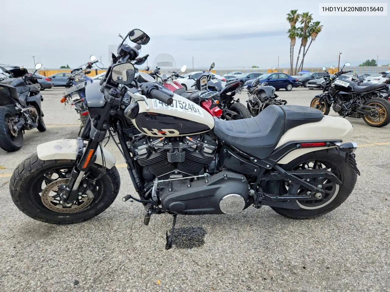 fat bob