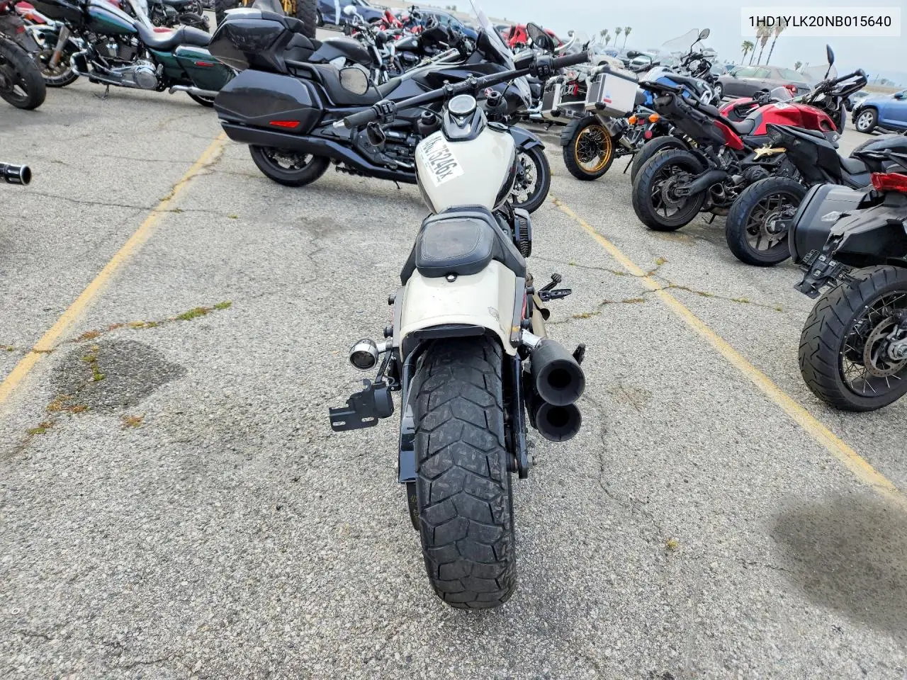 fat bob