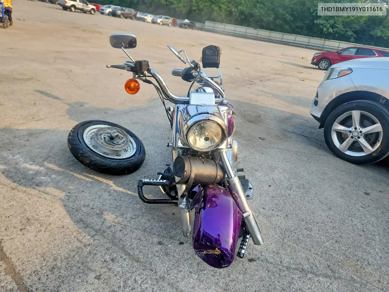 1HD1BMY191Y011616 2001 Harley-Davidson Flstf