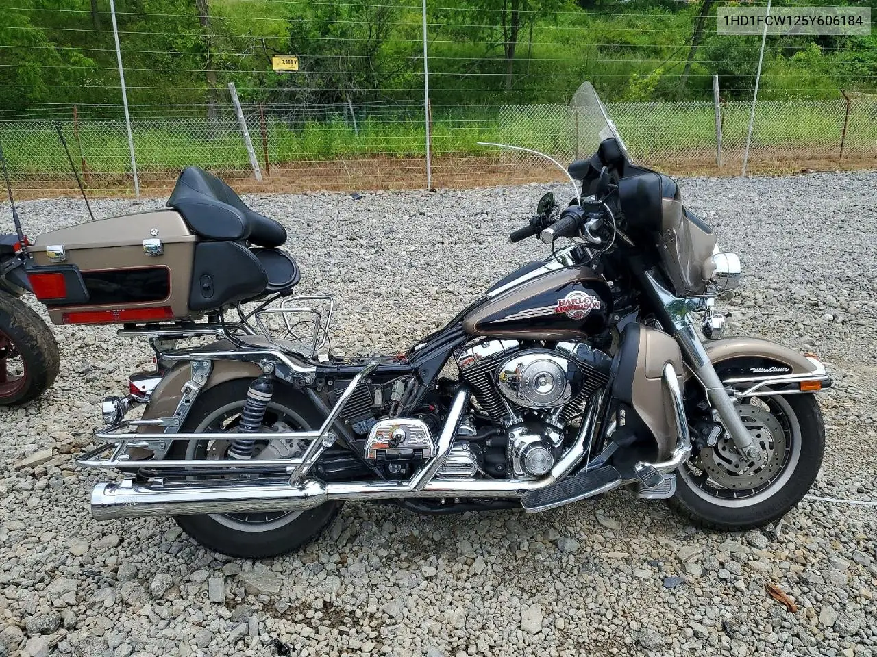 2005 Harley-Davidson Flhtcui VIN: 1HD1FCW125Y606184 Lot: 56620336