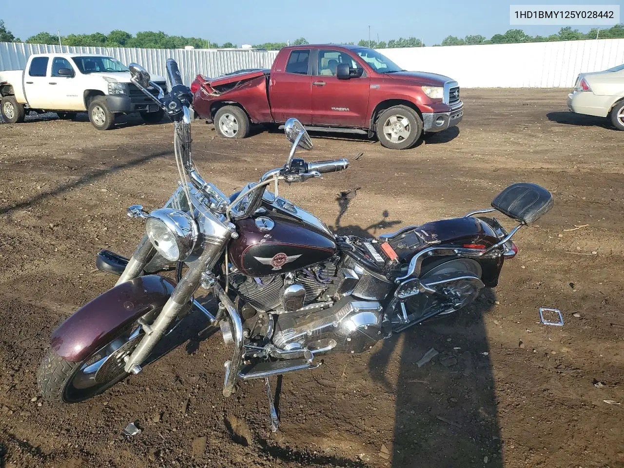 2005 Harley-Davidson Flstf VIN: 1HD1BMY125Y028442 Lot: 59630946