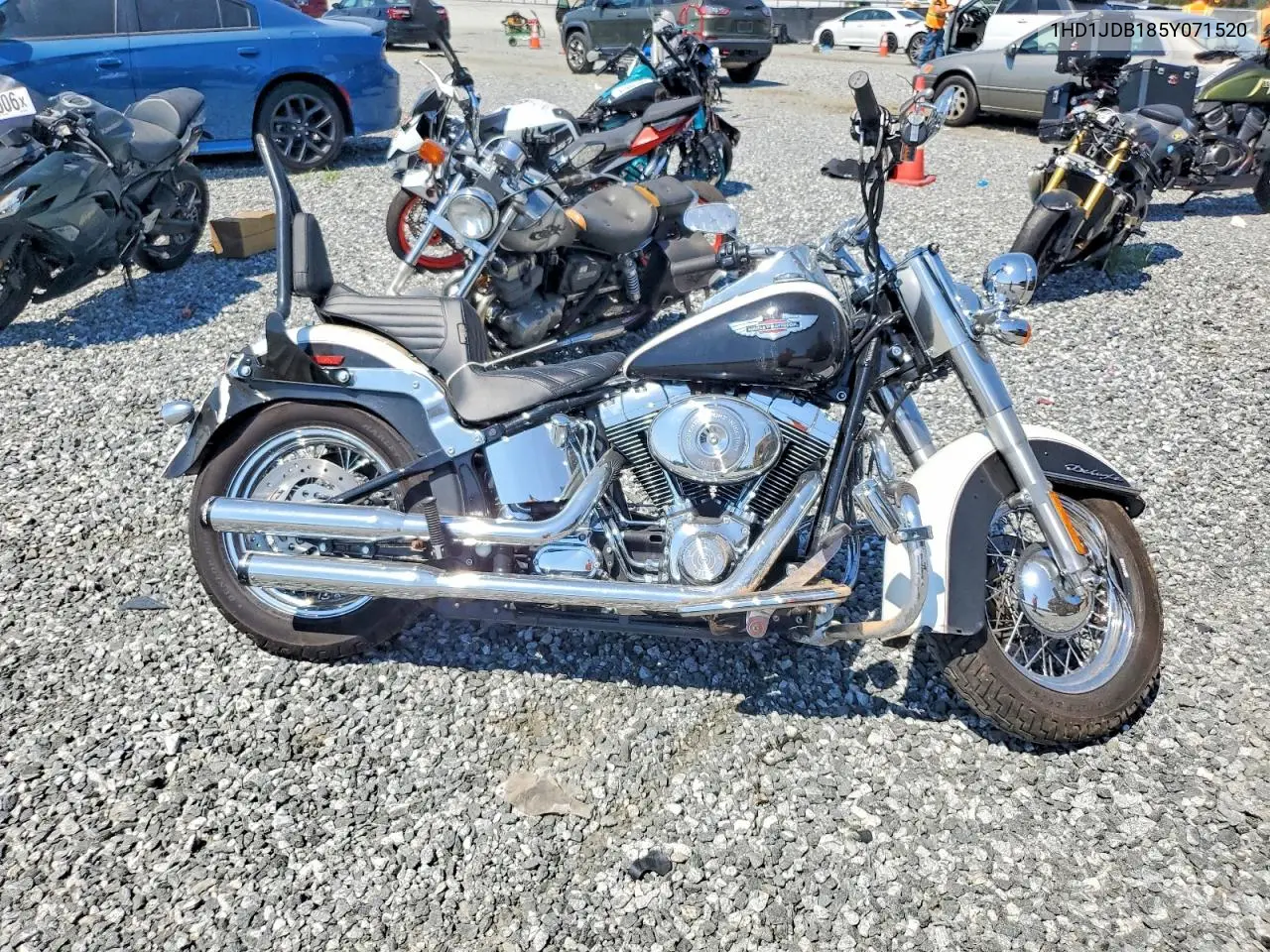 2005 Harley-Davidson Flstni VIN: 1HD1JDB185Y071520 Lot: 61405616