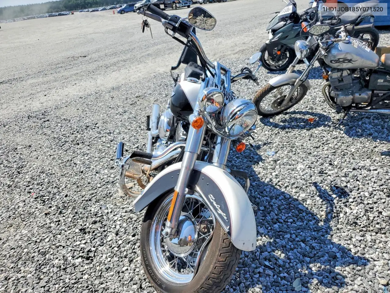 2005 Harley-Davidson Flstni VIN: 1HD1JDB185Y071520 Lot: 61405616